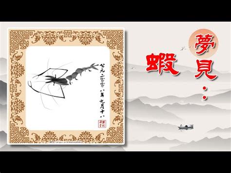 夢到蝦子號碼|夢到蝦子